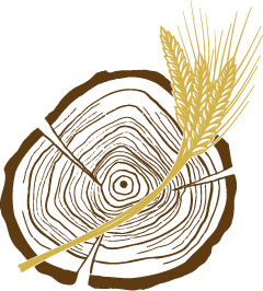 M. Kiener Logo